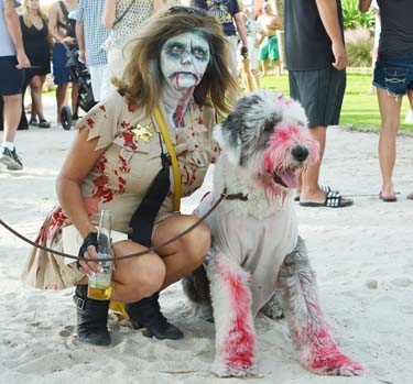 Pet Masquerade and Parade 2012 photo - Duval Street, Key West